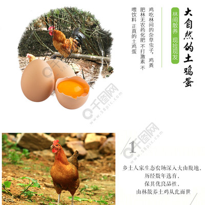 淘宝天猫绿色食品健康农家土鸡蛋详情页模板设计指南